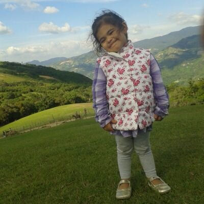 Jesus Gerardo Mena Schwarzenberg Profile