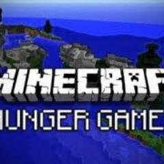 Minecraft gamer and server hoster
