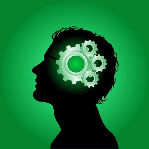 Todo sobre ecologia, salud, sexo, historia, cine, música, curiosidades, filosofía y muchísimo más.