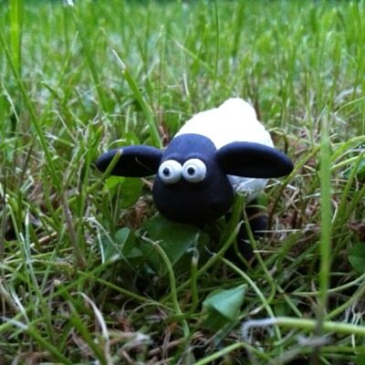 Timmyography's profile picture. 