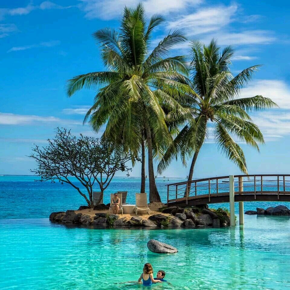 widgetapp's profile picture. 