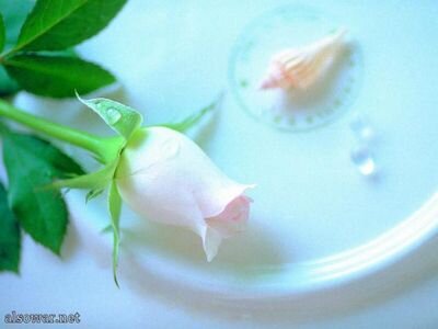 To love is nothing,
To be loved is something,
To love and be loved is everything