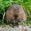 Rebecca Brown - @RebeccaJaneCaro - Twitter