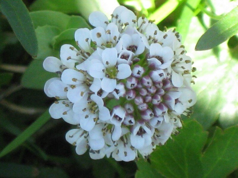 justforken1's profile picture. I'm me