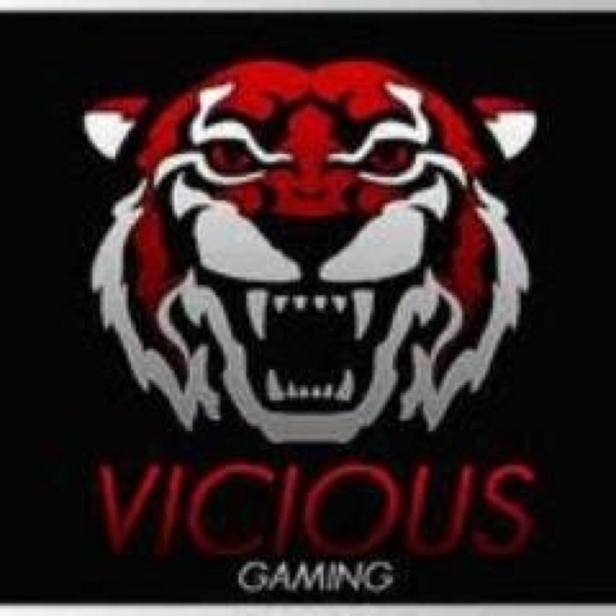 | Member of Vicious Nation (part of Vicious Gaming) | Objective Slayer |