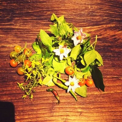 SaltsaLazarou's profile picture. Chef de cuisine Seagrill restaurant   focusing on creative  mediterranean   cuisine using solely freshly prepared local produce & plenty of passion!