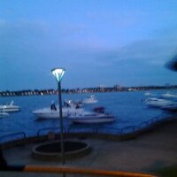 Daryl Hogan (@daryl_hogan) 's Twitter Profile