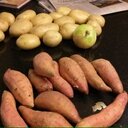 Randi Lipkin - @rjlotr - Twitter