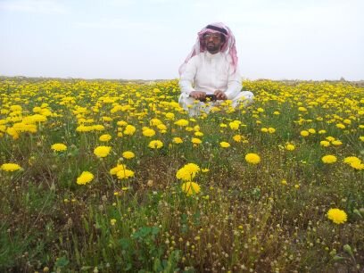 ‏المكشات والسفر