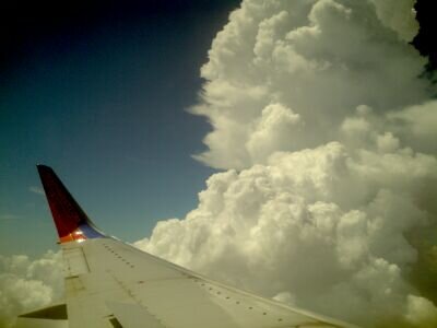 feered_fred's profile picture. Born in Borneo