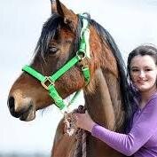 AlizaEvans2's profile picture. Horse Mad girl from Gloucester, strictly horse business only