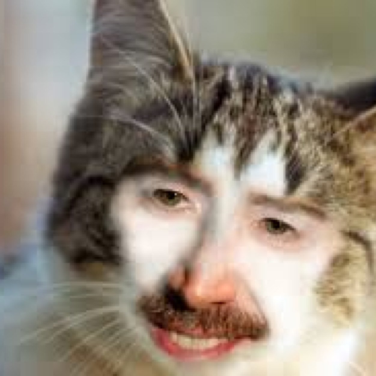 musty_goat's profile picture. Hacked at 1.3 million a few years back. I follow everyone back I promise. Im not the generic funny page my shit will actually make you laugh.