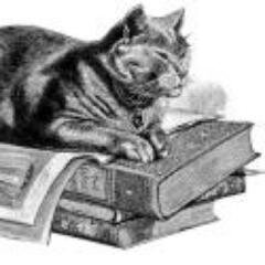 librarycat91's profile picture. 
