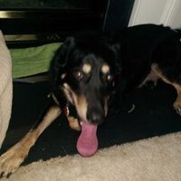 Stan Fujii (@stanleyfujii) 's Twitter Profile