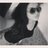 yoquel_'s profile image