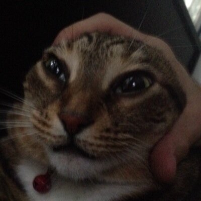 _Brogrammer_'s profile picture. 