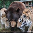 MacKenzie Boyd - @monkenzeet - Twitter