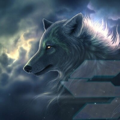 i am a Cod sniper.i do feeds and i ts | i enjoy playing in lobbys with my friends and having fun | Fan of FaZe Clan and Team B3NG | snip For Fun | Psn xSky-v