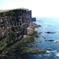 WalburgaEw3rs's profile picture. Award-winning pop culture expert  - student