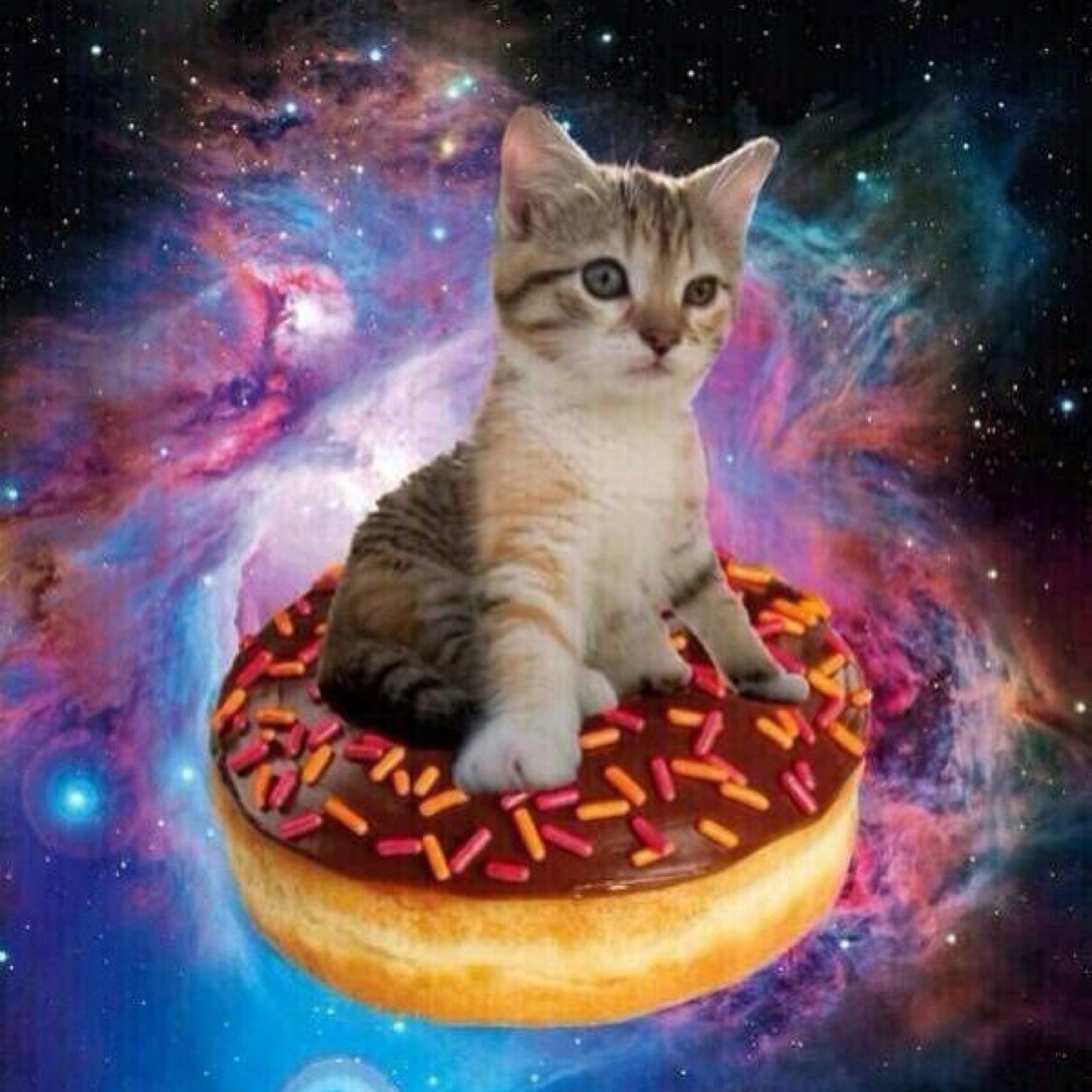 Space cats are best cats! :D