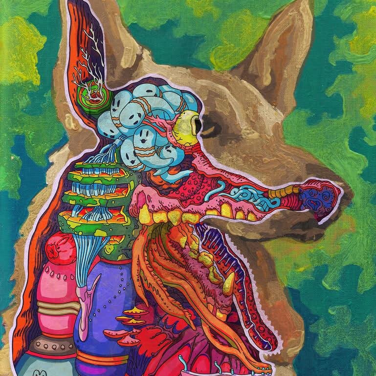 JavierMB971's profile picture. 