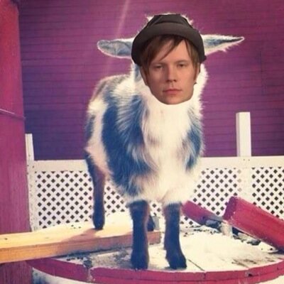 falloutgoat's profile picture. Free follow from @soulpxnkstump so go follow her! She follows back