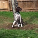 Scott Leasure - @ScoLeasure - Twitter