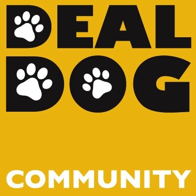 Deal_Dogs's profile picture. Promoting responsible dog ownership and tourism in Deal, Kent, UK