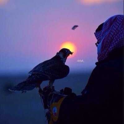 فقيرً إلى الخالق غنيً عن المخلوق ؛ ♚'
