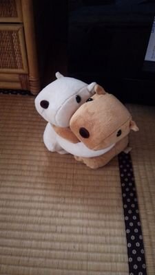竹内 裕美 Yu Min1029 Twitter 竹内 裕美 Yu Min1029 Twitter