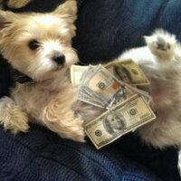 J (@jc_jet) 's Twitter Profile