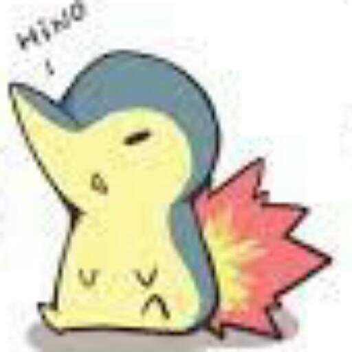 Hola|Odio a Pook|Sin ideas|Lol 3|Zelda iwi|Mi mamá me manda|