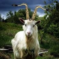 edisonbarry_'s profile picture. ««««««««««««Edison Fan Account»»»»»»»»»»»» Was the saxophone playing goat in Edison that got kicked out for licking windows. (@Itsabandlove)