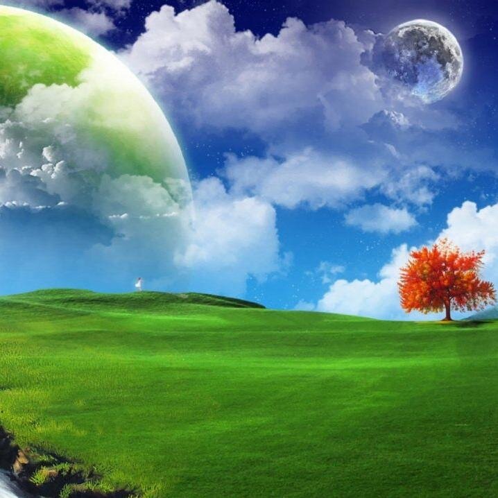 2879Amy's profile picture. 