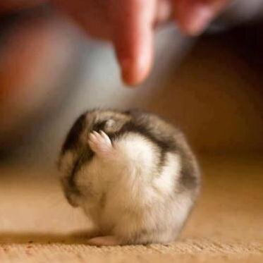 gendai_meigen's profile picture. 現代の名言集をお届けします。