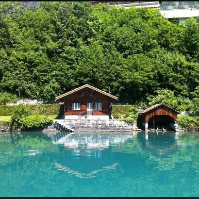 mashar_biz's profile picture. 