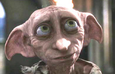 scolleen's profile picture. 