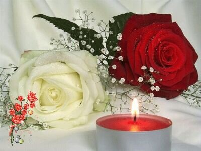 sssn20111's profile picture. 