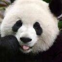 stephanie stringer - @SuperChild2014 - Twitter