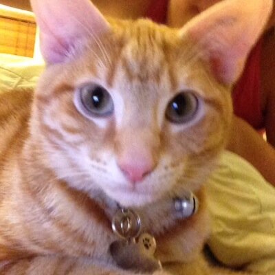 mileyisdope_'s profile picture. Fangirl of miley cyrus, mathew baynton, all things history and all things weird! :)