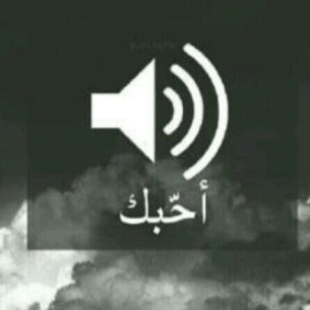 آعشَشقُك / آميِــريْ » '