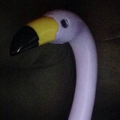 @flamingomiranda is my sister