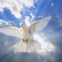 Jesus Maria Dios - @DiosMariaJesus - Twitter