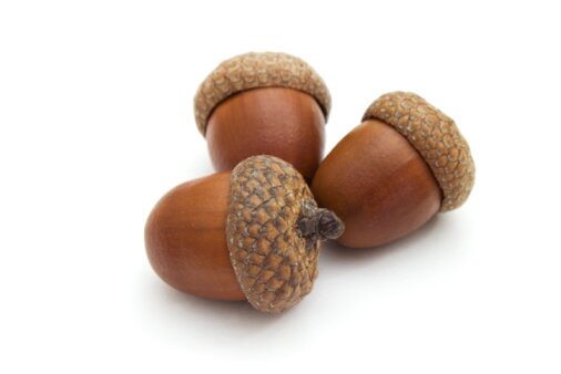 AcornStrategy's profile picture. Acorn Digital Strategy is a boutique digital marketing agency specializing in quality content marketing. http://t.co/YZtOD0311j