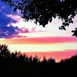 Rancherrice's profile picture. Loving life with my God, my wife, and my two boys while working for the Paycom and running our family cattle ranch, Rice Ranch, with my father.