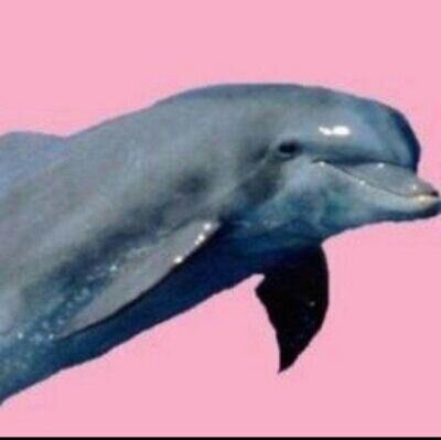 Yo'