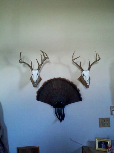 Tennessee