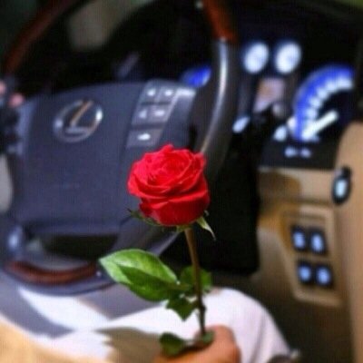 n99m8m's profile picture. لي حرية التغريد، ولك حرية المتابعة ، مسؤولاً عمّا أكتبه ولستُ مسؤولاً عمّا تفهمه النقد الهادف هديةٌ أقدّرها ممّن يقدمها بأسلوب جميل