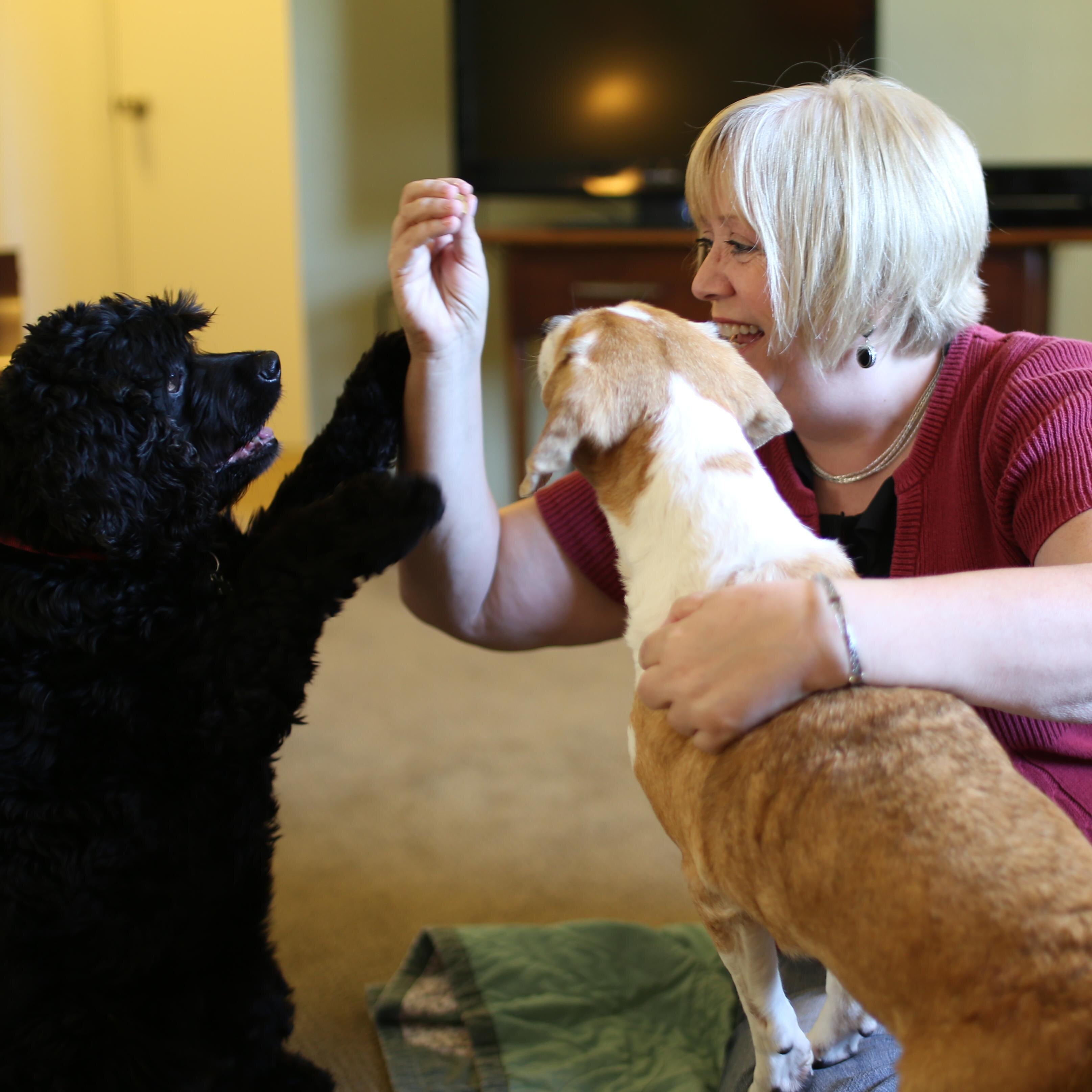 LEASHONLIFE's profile picture. Providing Pet & People Services, animal lover, avid networker, enjoy beach & music, fun loving loyal friend.