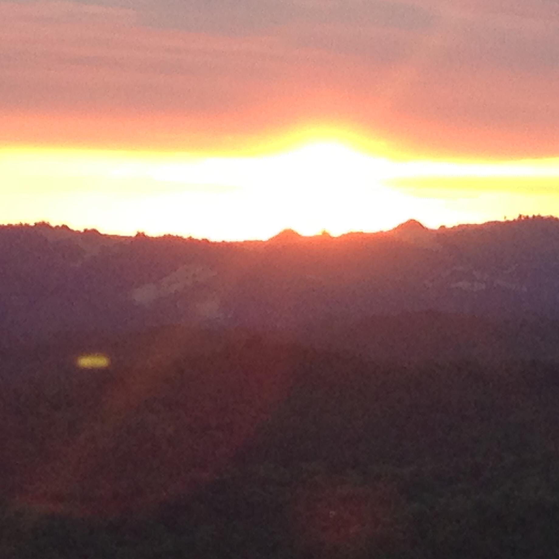 birdsongmidwife's profile picture. 